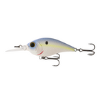 Pressure Series - Shad World - 6th Sense Fishing