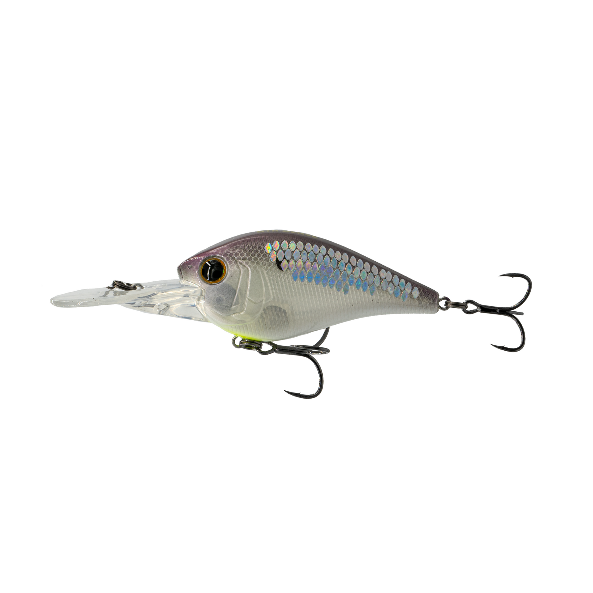 250MD - Smash Fest Crankbait | 6th Sense Fishing