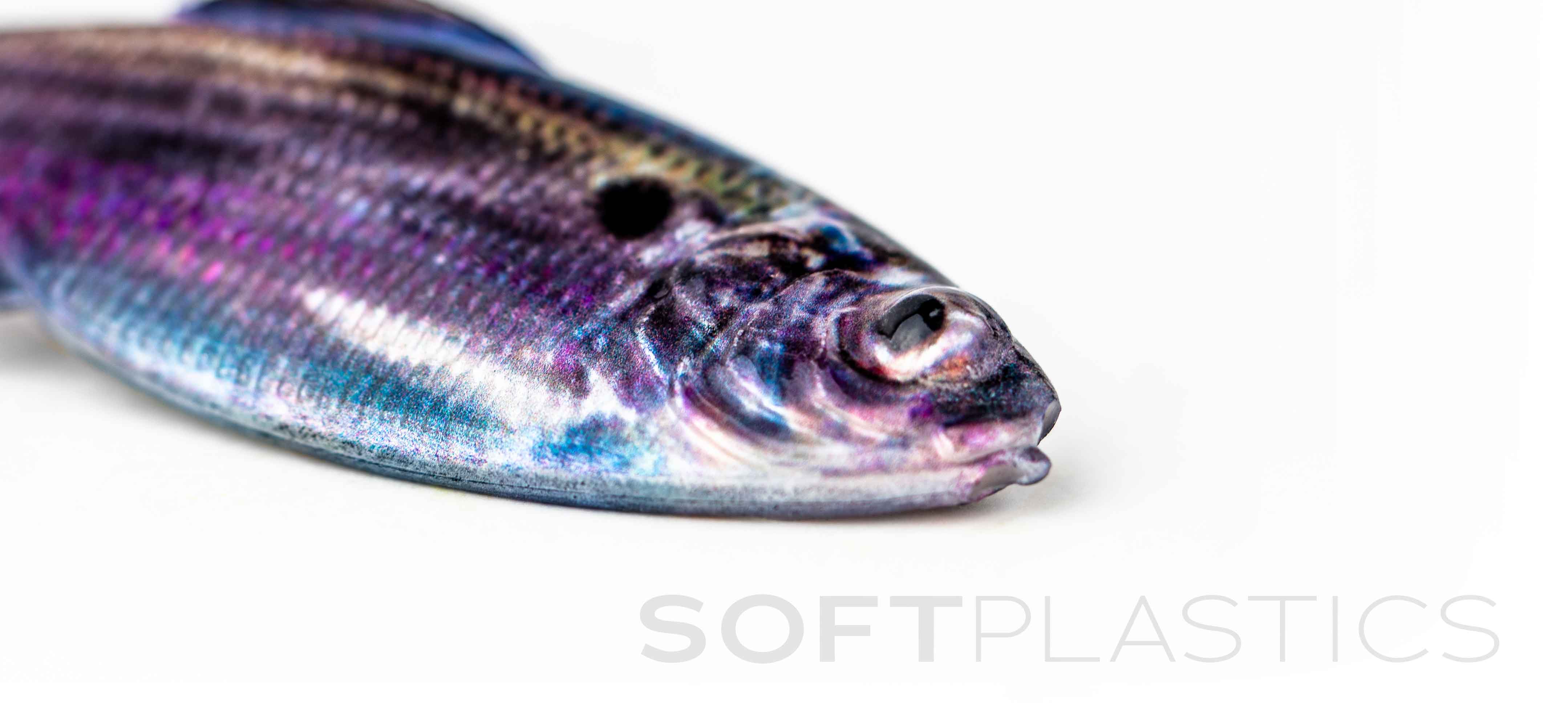 The 6th Sense Soft Plastic Blends Bundle