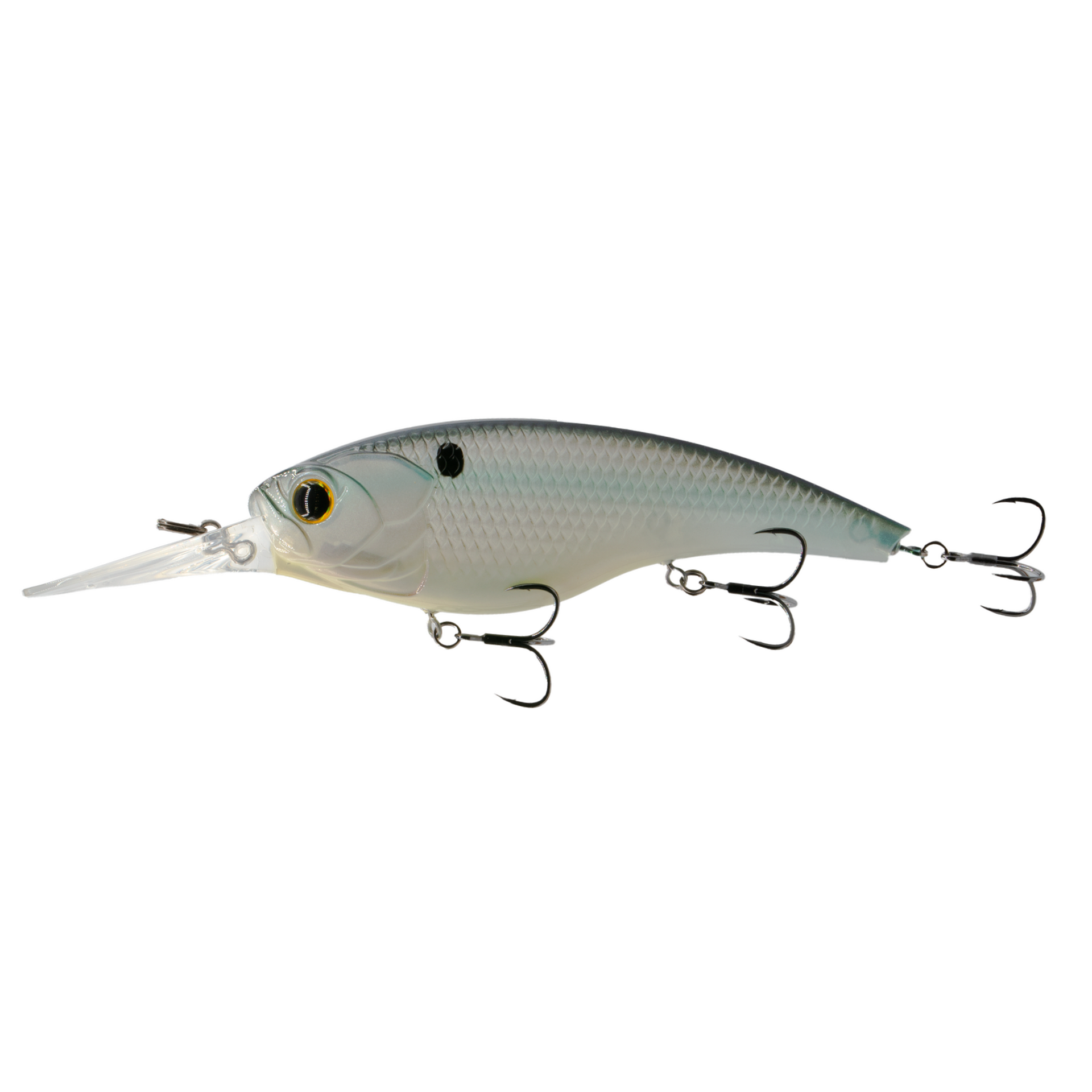 MPB LURES バイソン120 BKG/BC アカガエル　未開封　(1) BOOYAH® Hard Knocker® Graffiti Craw Series