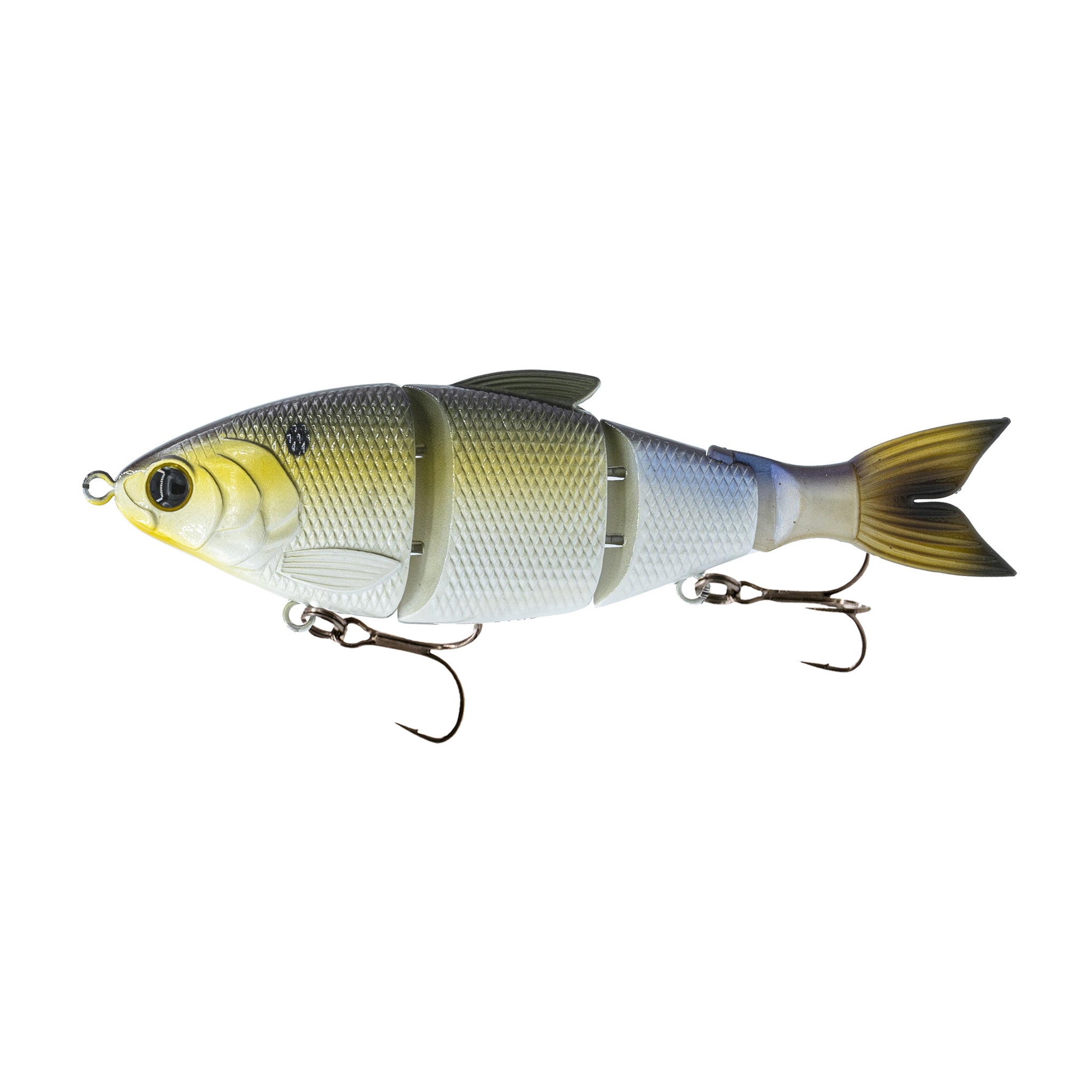 Trace 6 - Gizzard Shad