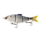 Trace® 6" - Live Threadfin Shad - 6th Sense Fishing