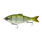 Trace® 6" - Shad Hammer - 6th Sense Fishing