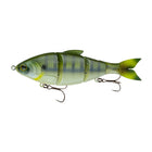 Trace® 6" - Tilapia - 6th Sense Fishing