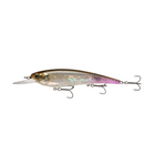 Masterclass Jerkbait 107