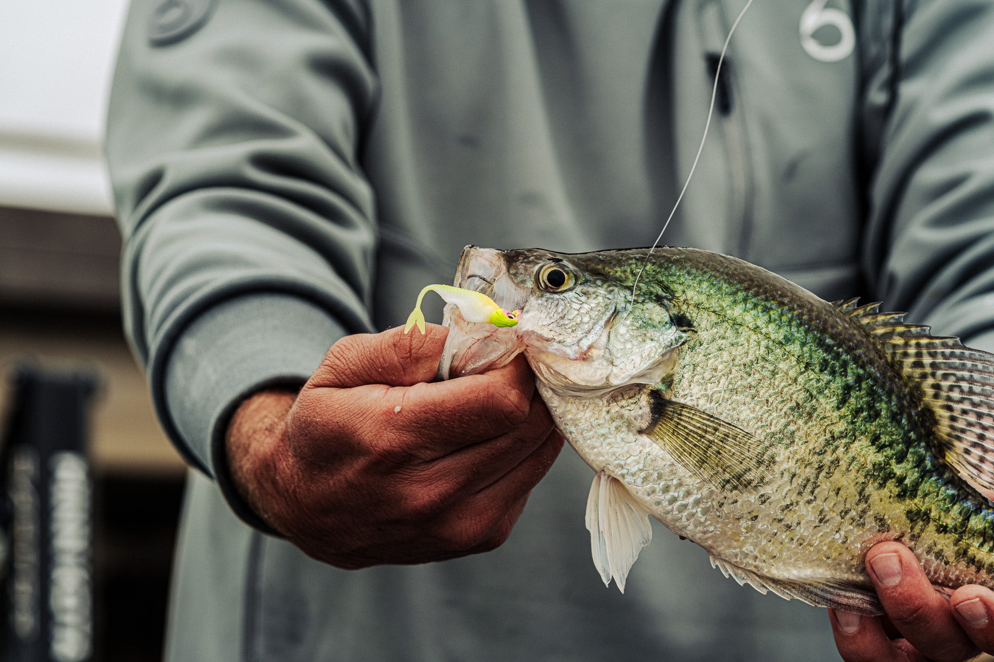 Crappie Jig Heads - Pink-Treuse Terminal Tackle | 6th Sen – 6th