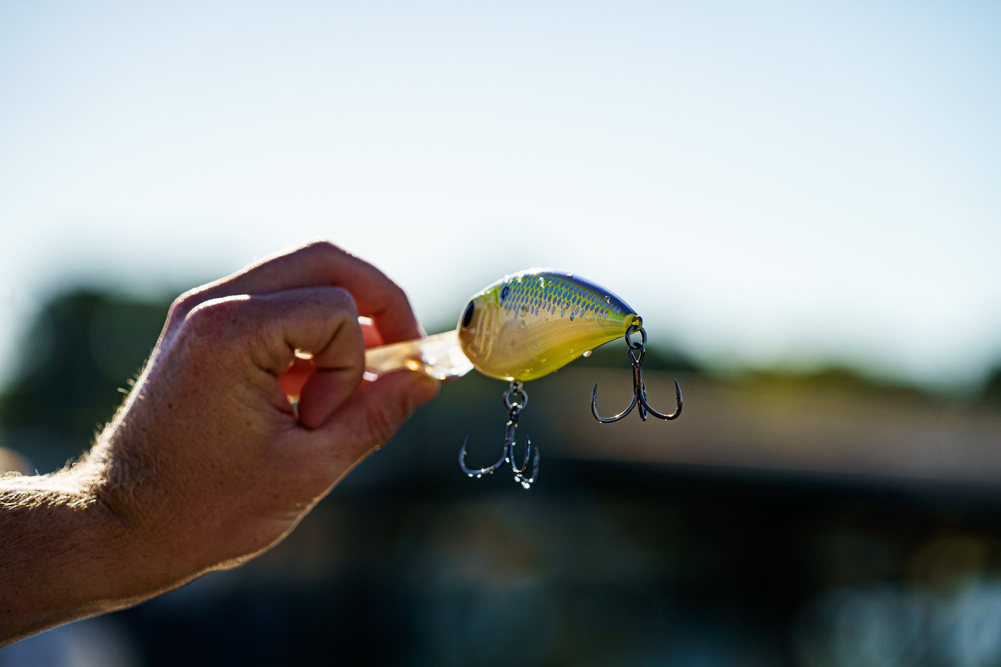 Crush DD Series - Citrus Scales Crankbait | 6th Sense Fis – 6th