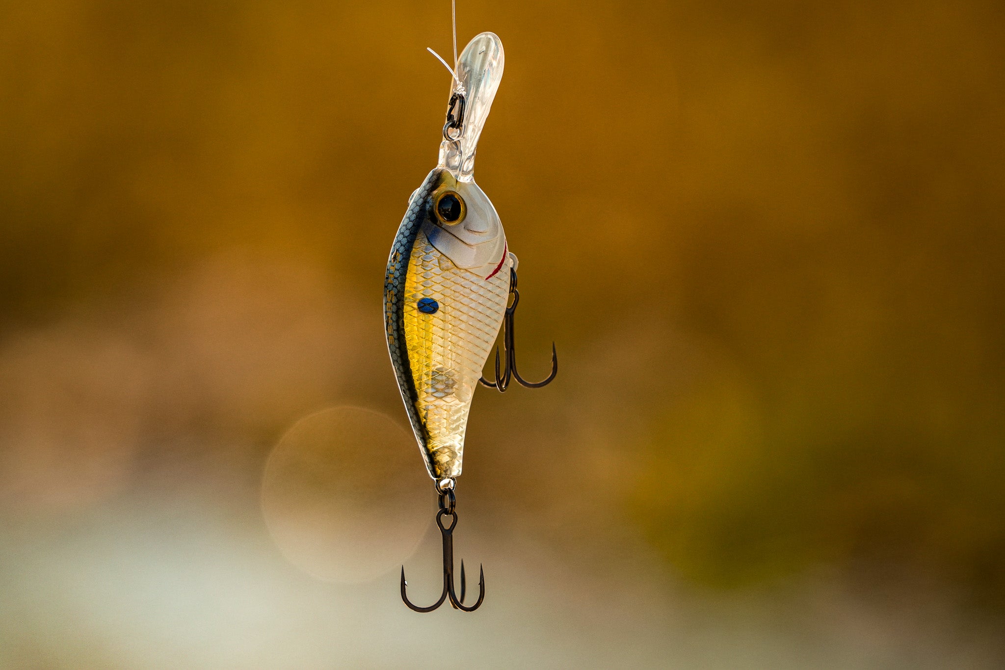 Pressure Series - Clearwater Shad