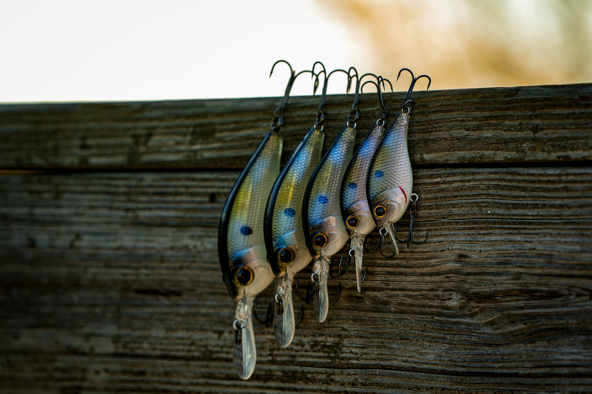 Pressure Series - Clearwater Shad