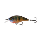 Pressure Series - Live Bluegill - 6th Sense Fishing
