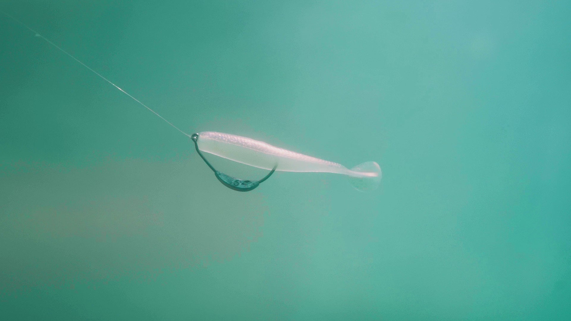 Divine Swimbaits | Swimbaits | 6th Sense Fishing