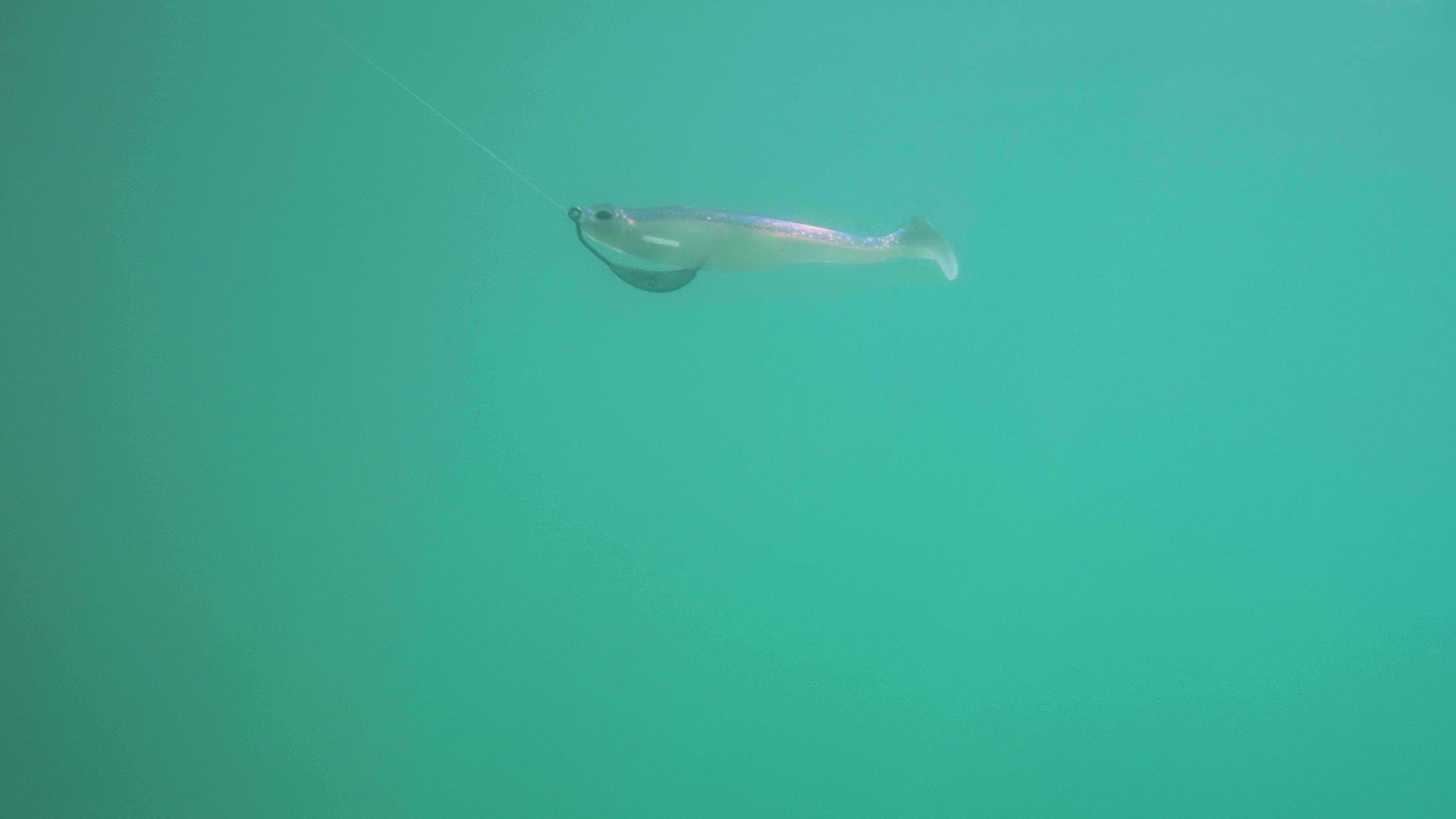 6th Sense Fishing - Soft Plastics - Whale Swimbait