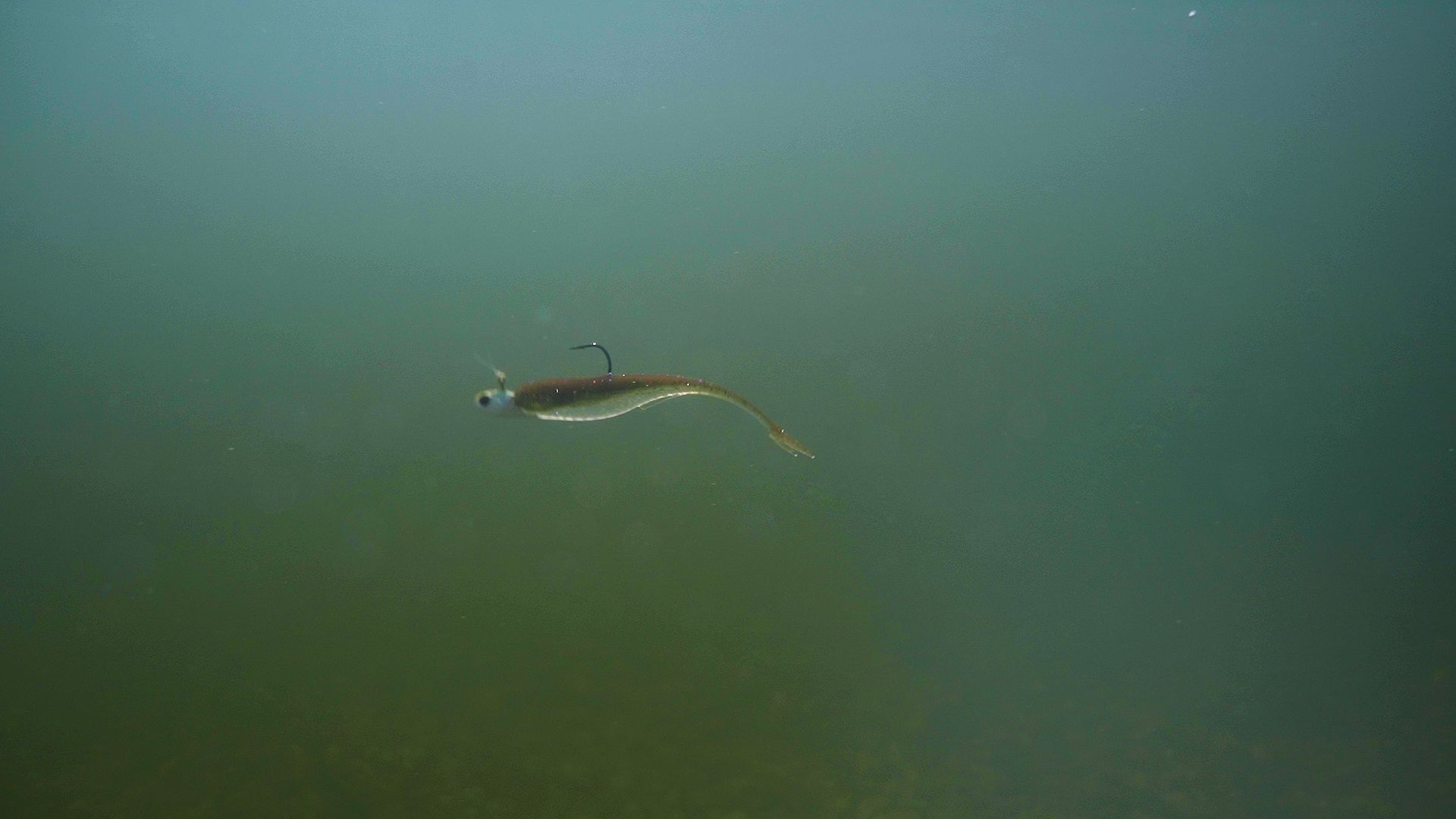 Juggle Minnow - 4K Bluegill Fishing Lure | 6th Sense Fishing