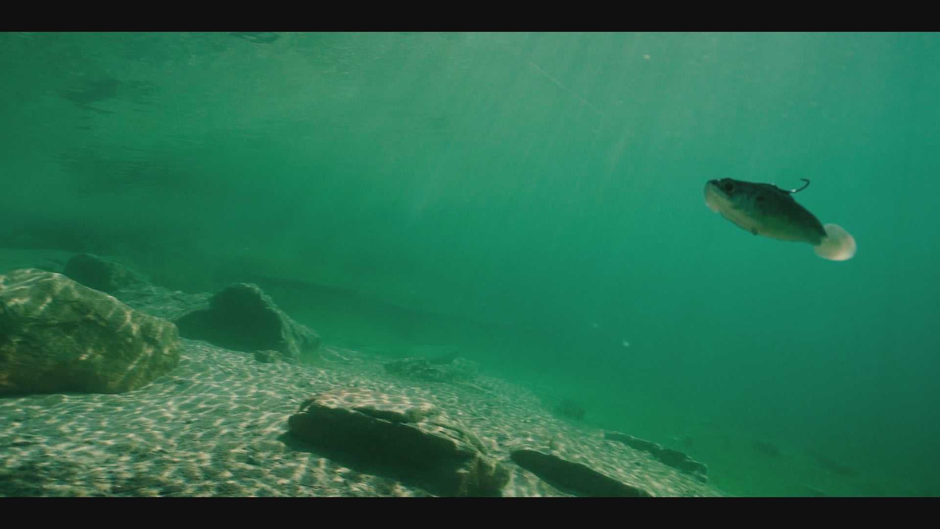 6th Sense Fishing - The Hangover