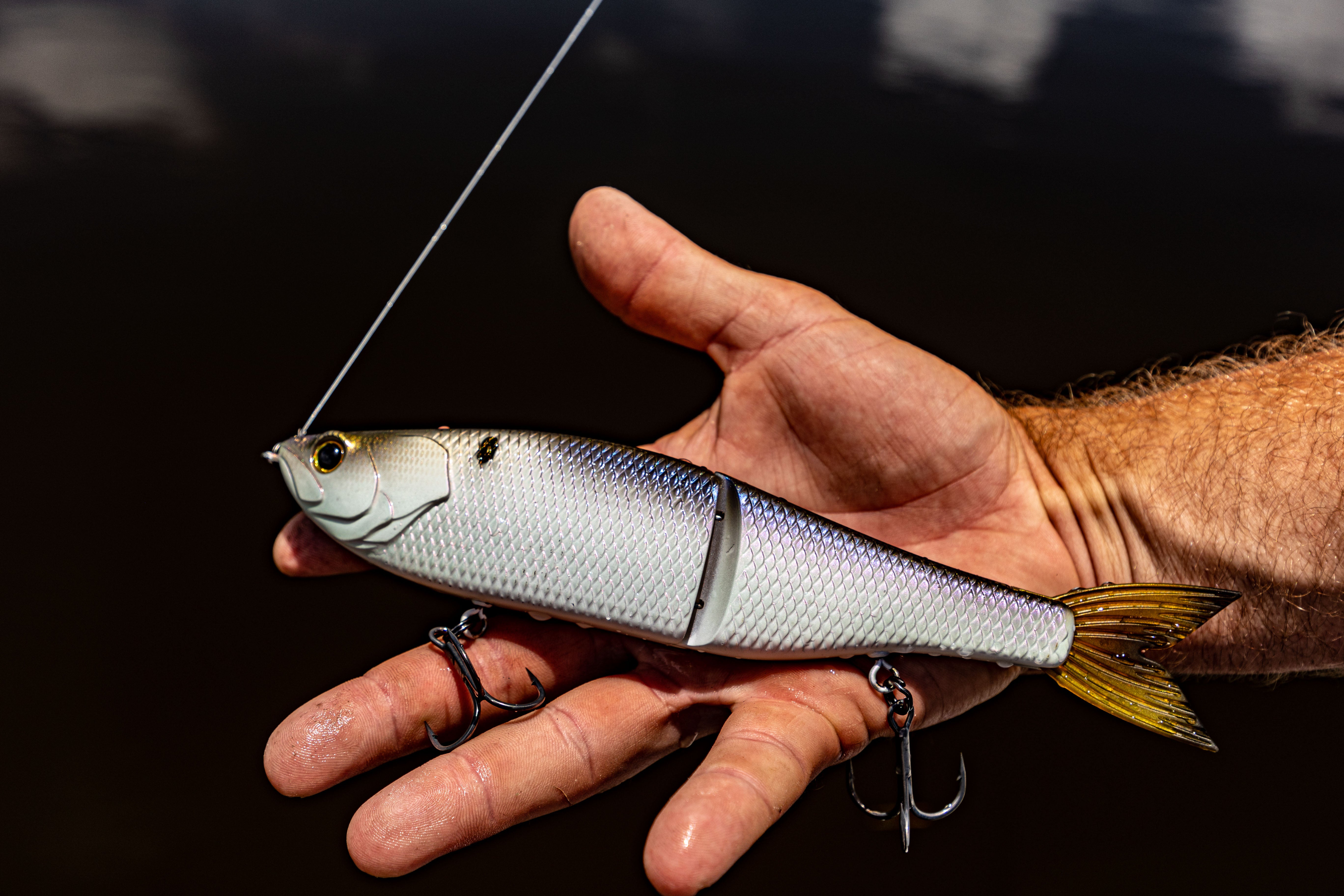 Trace® 7.25" - 4K Shad