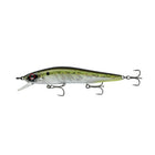 Provoke Series - American Shad - 6th Sense Fishing