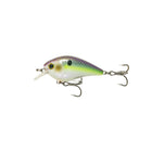Crush Series - Wild Shad - 6th Sense Fishing