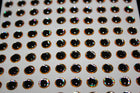 3D Eyes