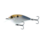 Flat Finesse F4 - 4K Shad - 6th Sense Fishing