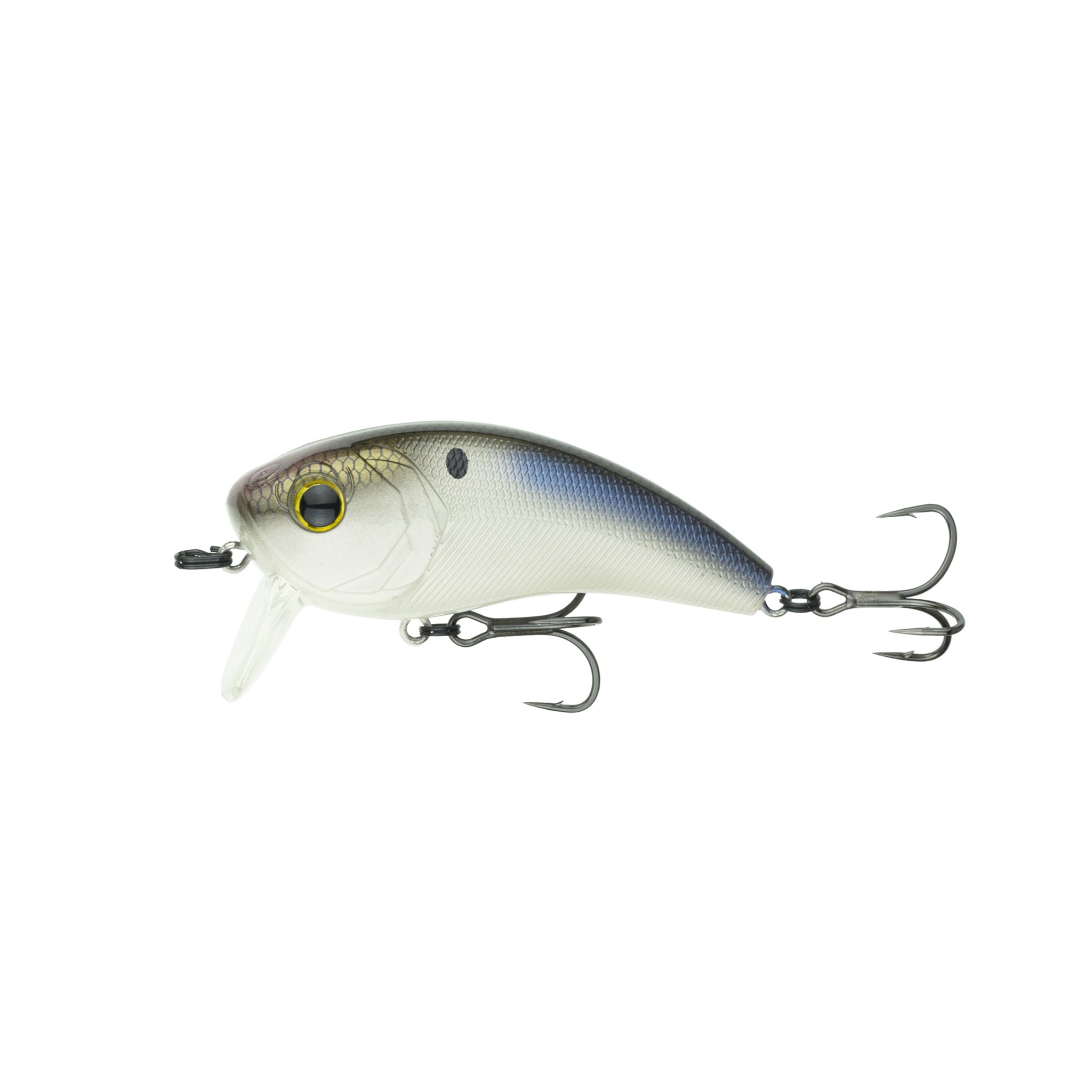 Movement 80WK - Shad Scales