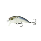 Movement Wake Series - 4K Shad - 6th Sense Fishing