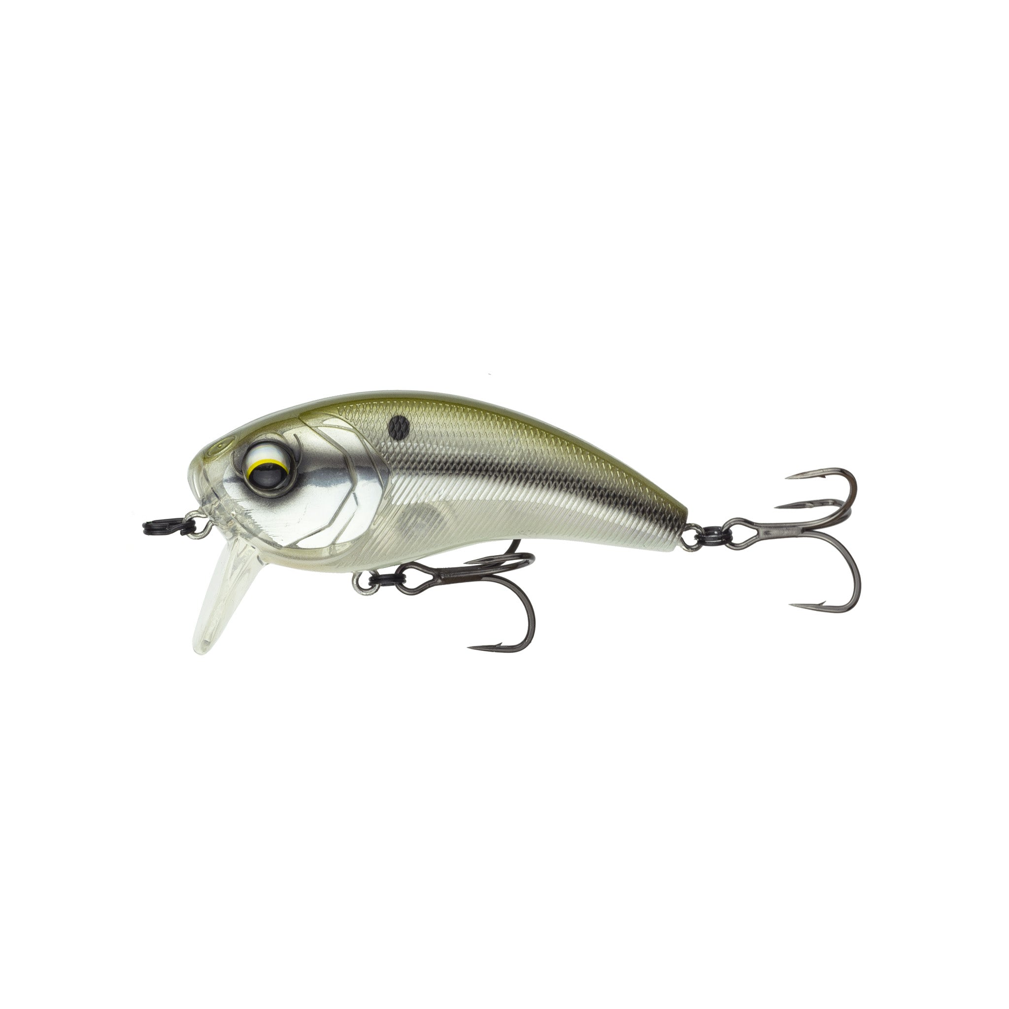 Movement 80WK - Shad Scales
