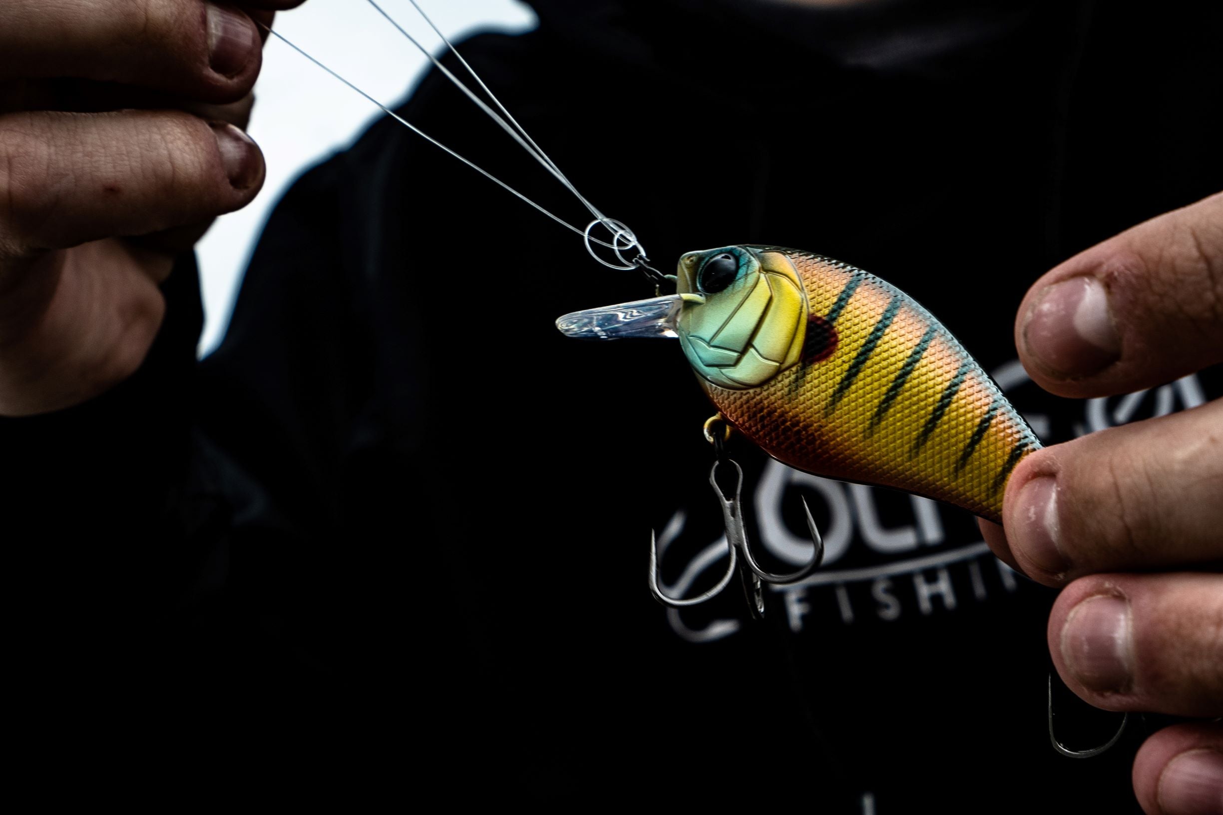 Crush Series - Spring Bluegill