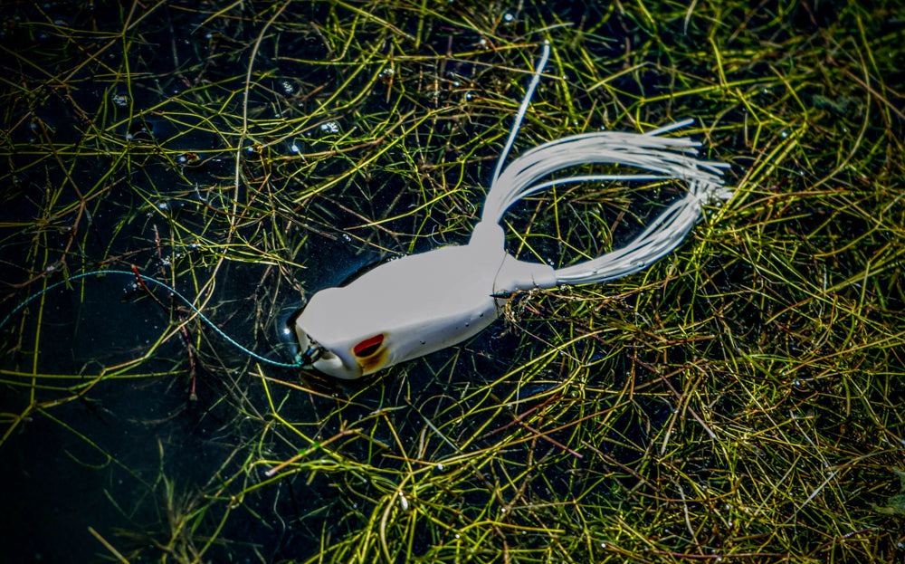 6th Sense Fishing - Vega Frog 70 - Ivory White