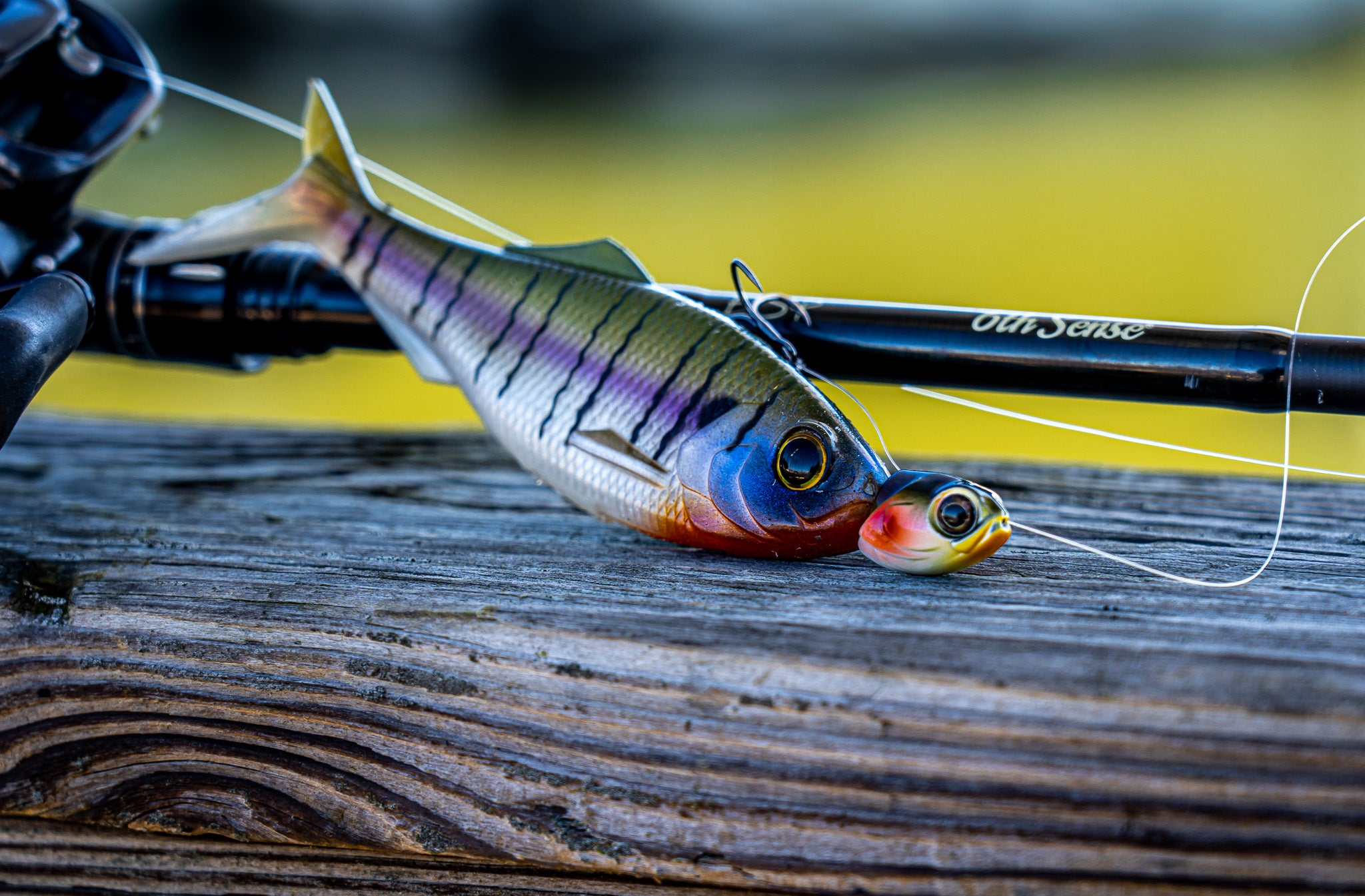 fish head gt lures Pulse Pulse Jig 1/4 oz / White River Special The 6th Sense Finesse Minnow Jig Head is designed for subtle presentations where realism and control matter most Big Game Lead Hard Bait