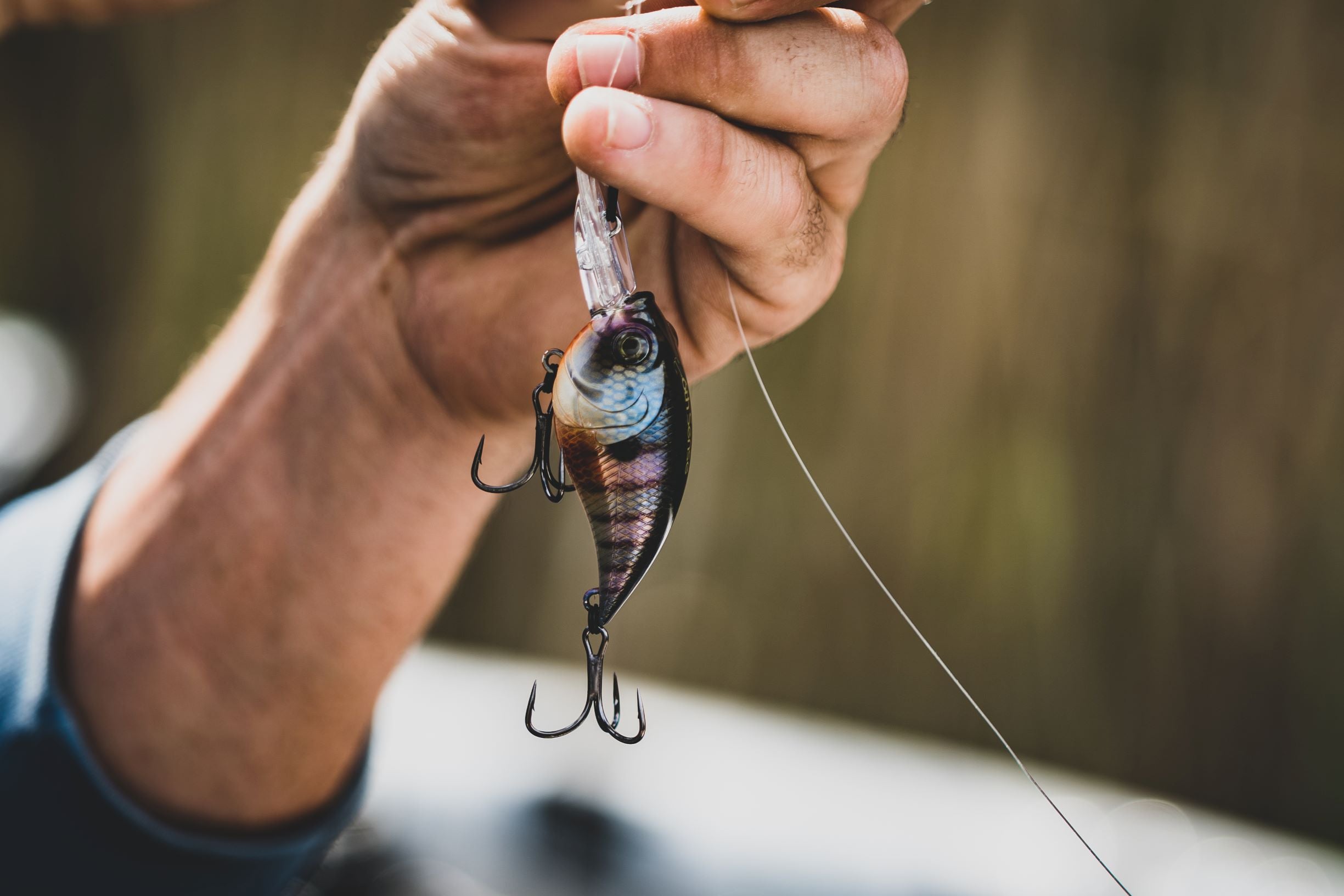 Bass Lures for the Bluegill Spawn 