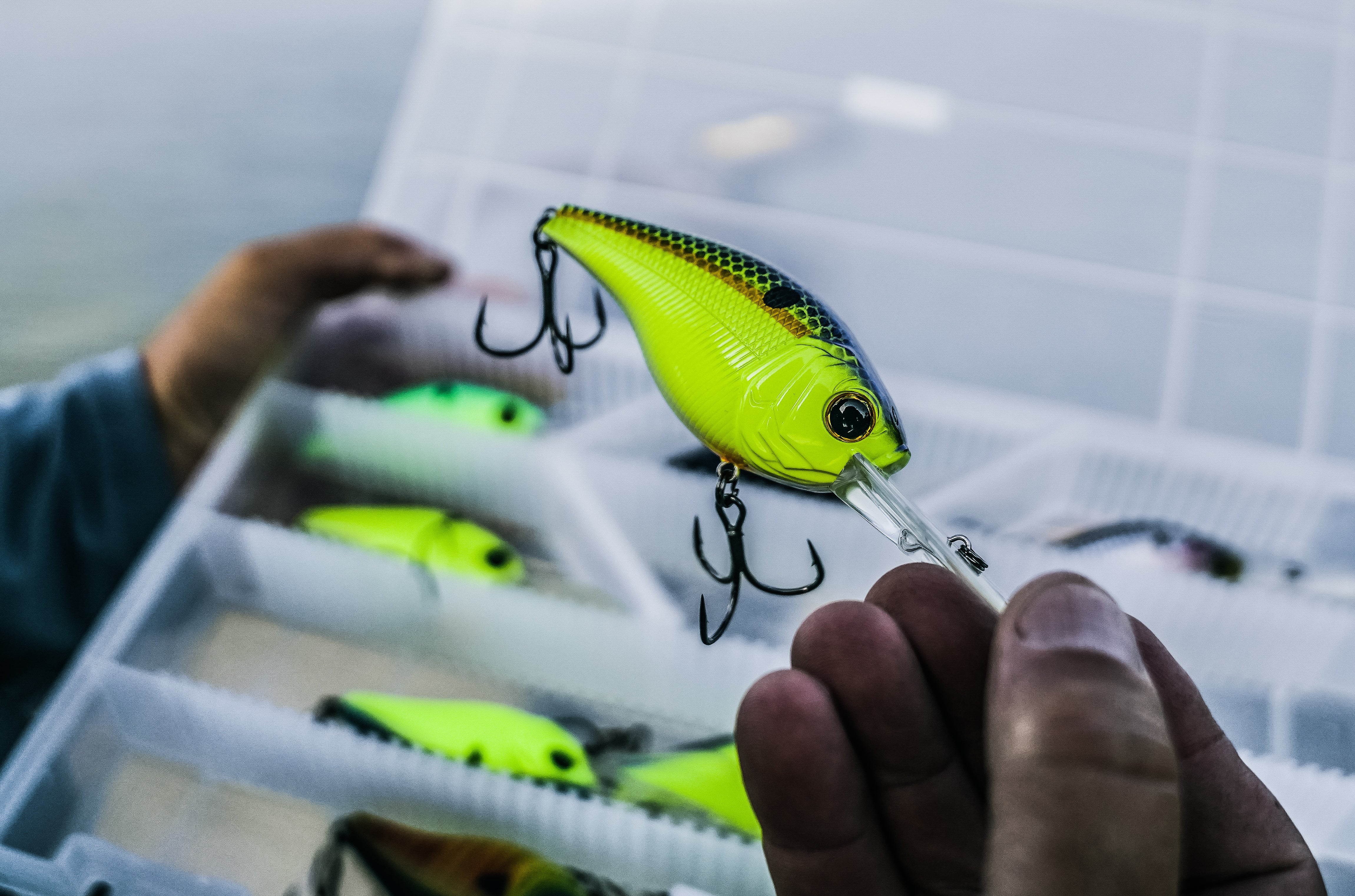 Cloud 9 - Sexified Chartreuse Shad