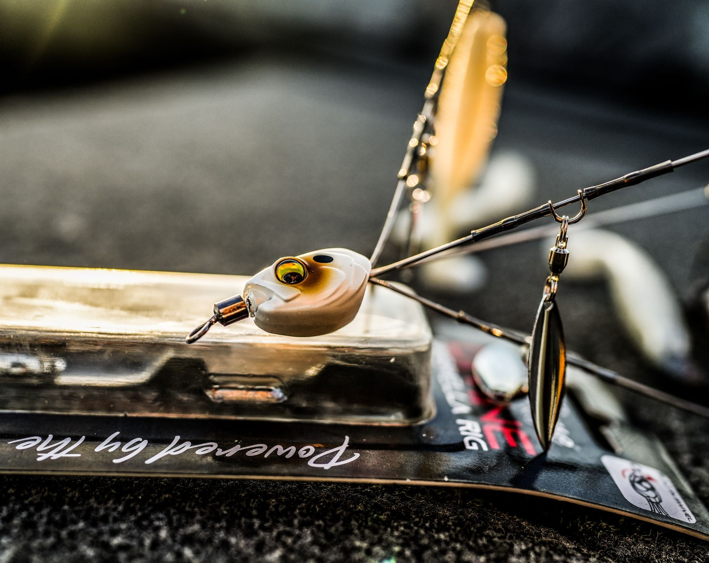 Divine Umbrella Rig - Spanish Pearl