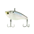 Duke - Shad Scales - 6th Sense Fishing