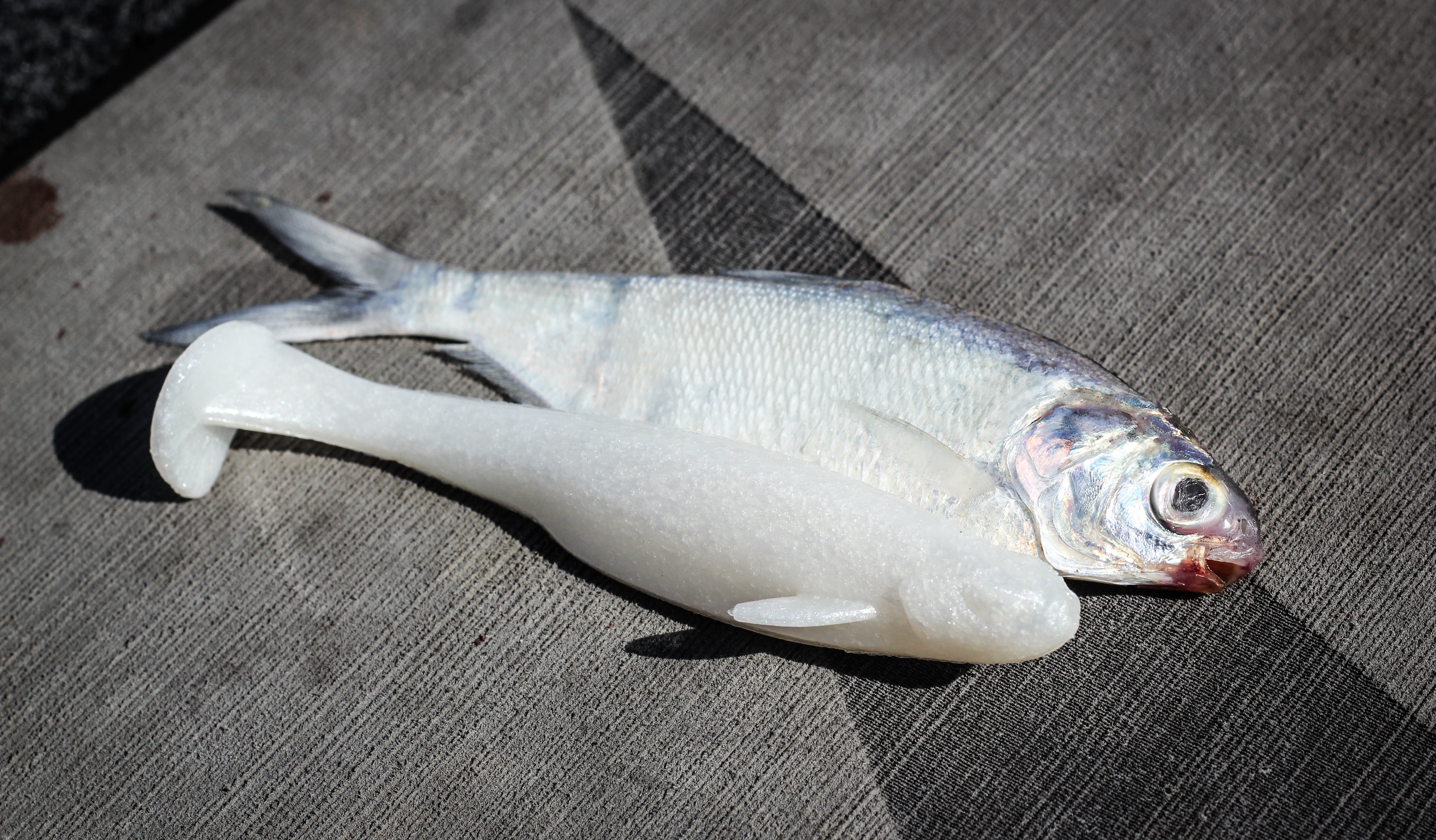 Whale Swimbait - Pearl White