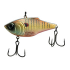 Quake THUD - Spring Bluegill - 6th Sense Fishing