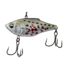 Quake - Clayton's Shiner - 6th Sense Fishing