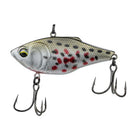 Quake THUD - Clayton's Shiner - 6th Sense Fishing