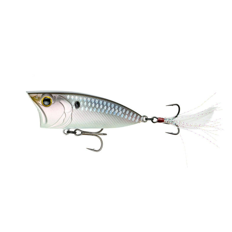 SplashBack Popper - Shad Scales - 6th Sense Fishing