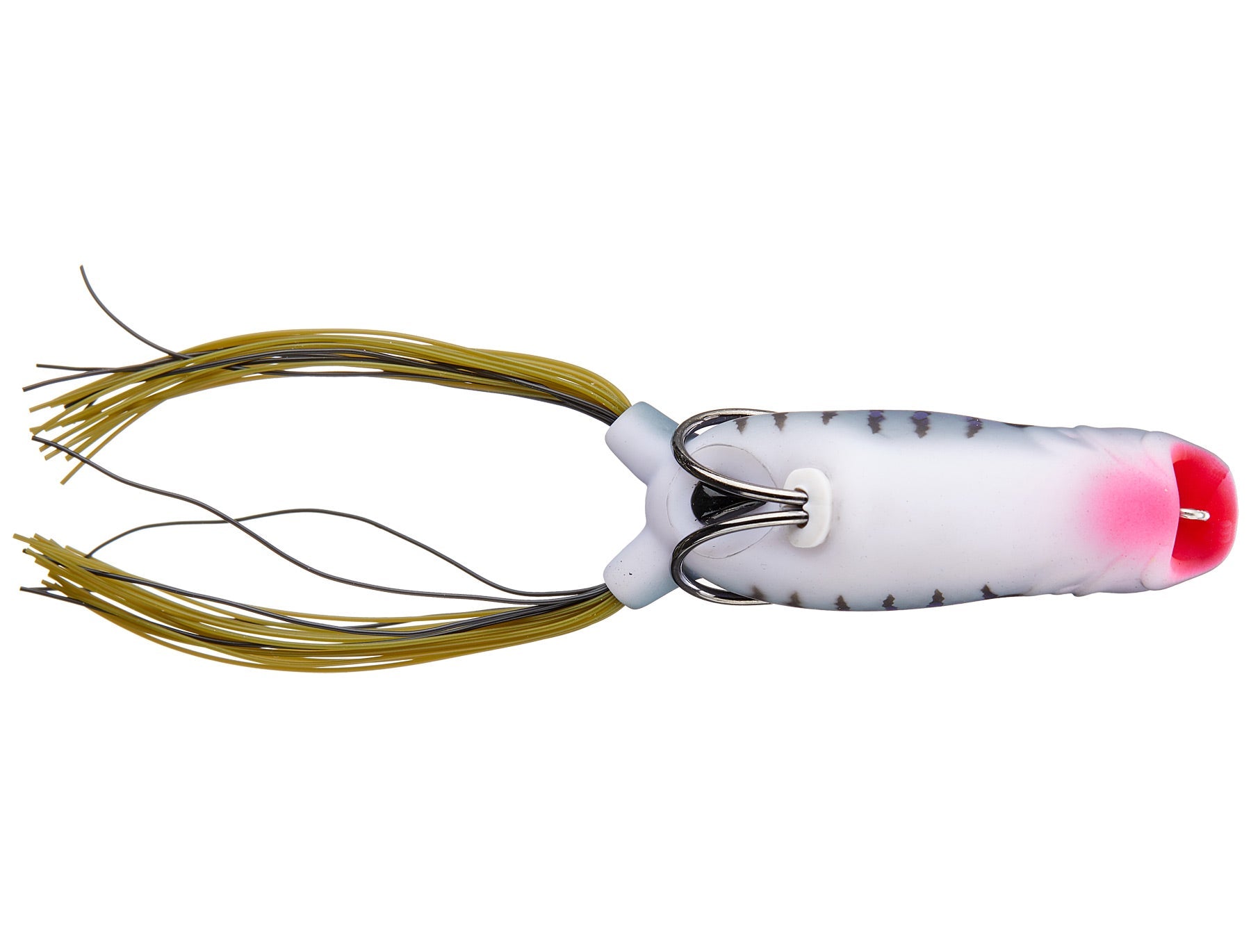 Vega Frog - Gill Fest