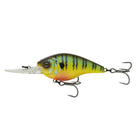 Cloud 9 - Mud Gill - 6th Sense Fishing
