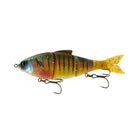 Trace® 5" - Cajun Gill - 6th Sense Fishing