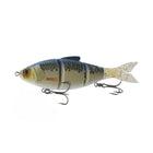 Trace® 5" - Live Shiner - 6th Sense Fishing