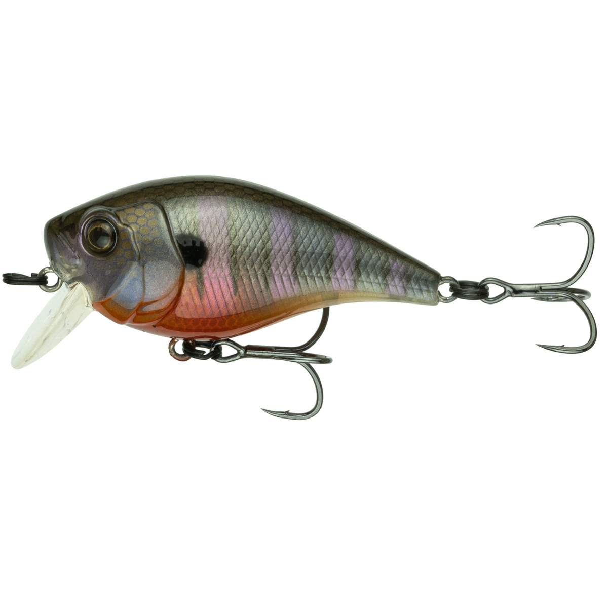 6th Sense Munch Crankbait | Compact Shallow Water Hunting
