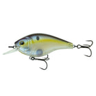Magnum SB - Shad Sense - 6th Sense Fishing