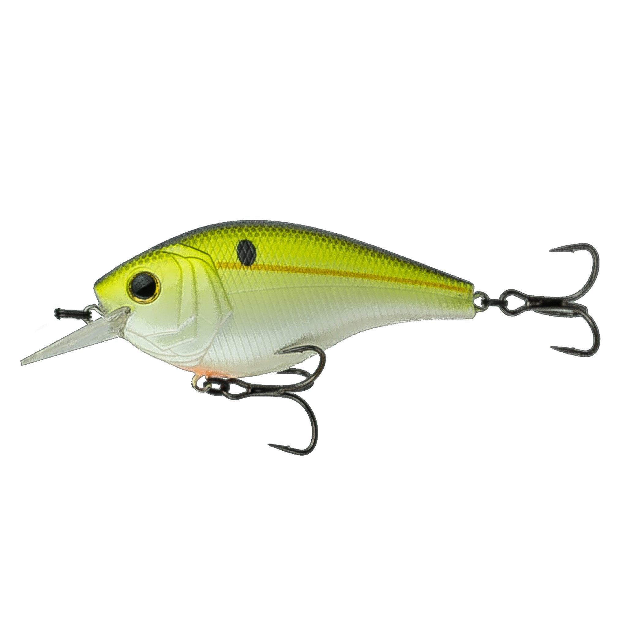 Chartreuse shad