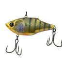 Quake - Golden Gill - 6th Sense Fishing