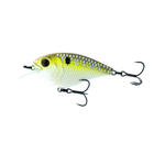 Flat Finesse F4 - Shad Streaker - 6th Sense Fishing