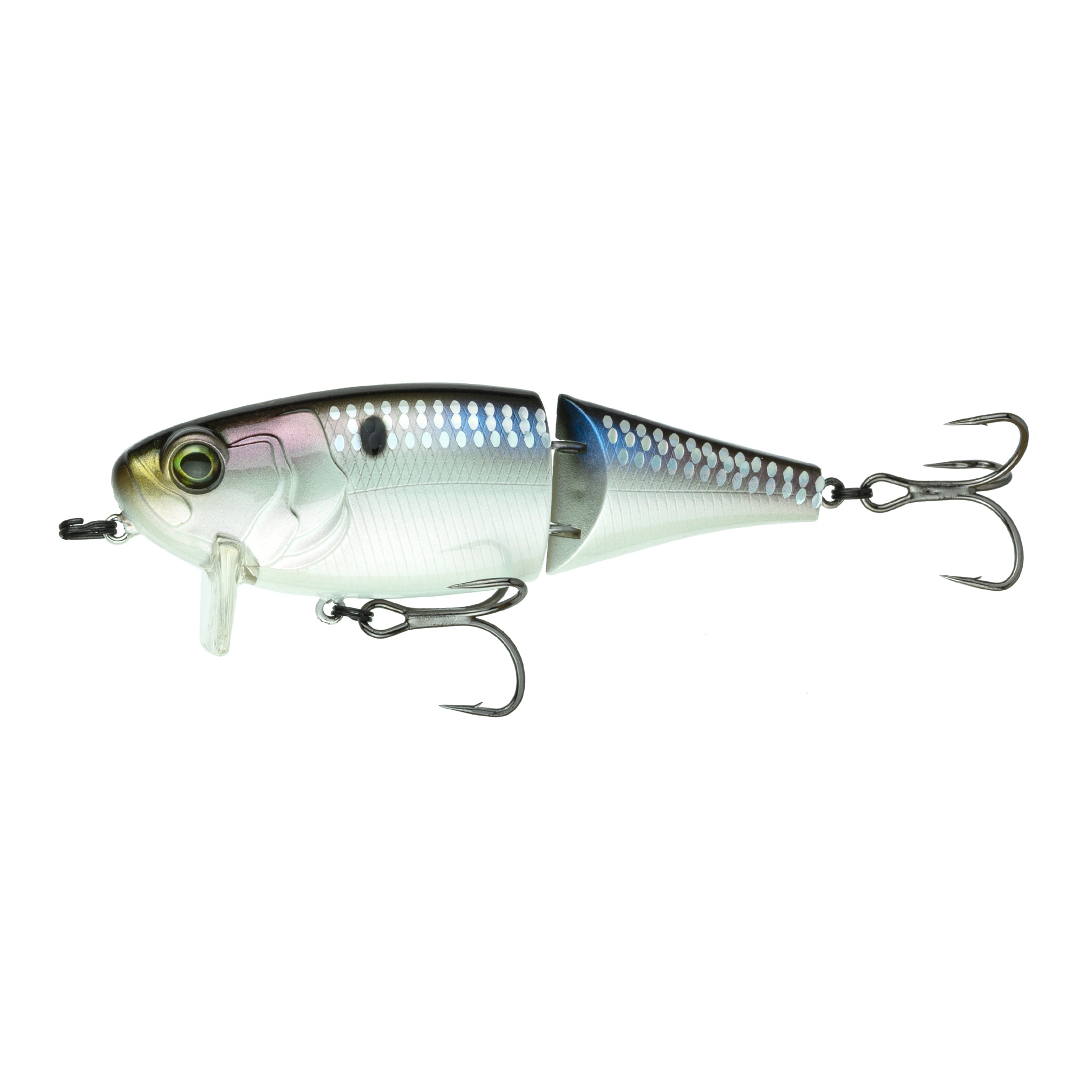 Speed Wake - Live Shiner