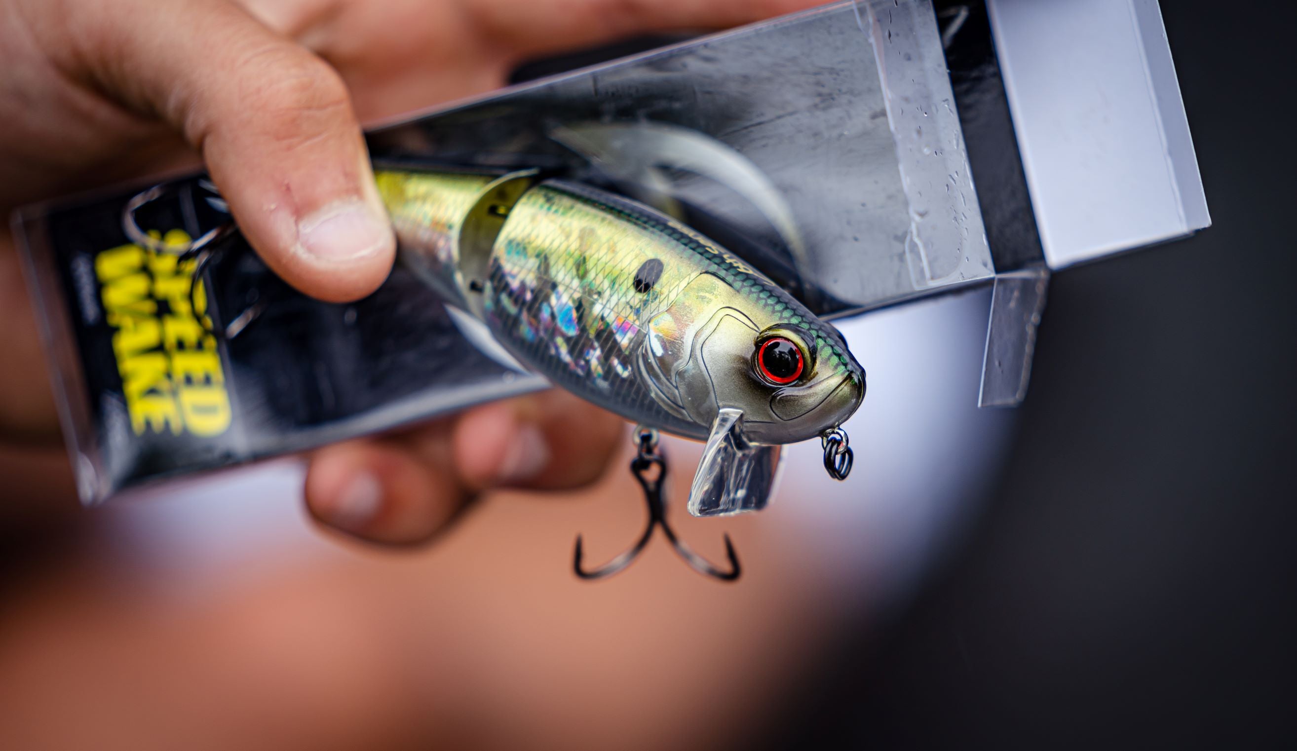 Speed Wake - American Shad
