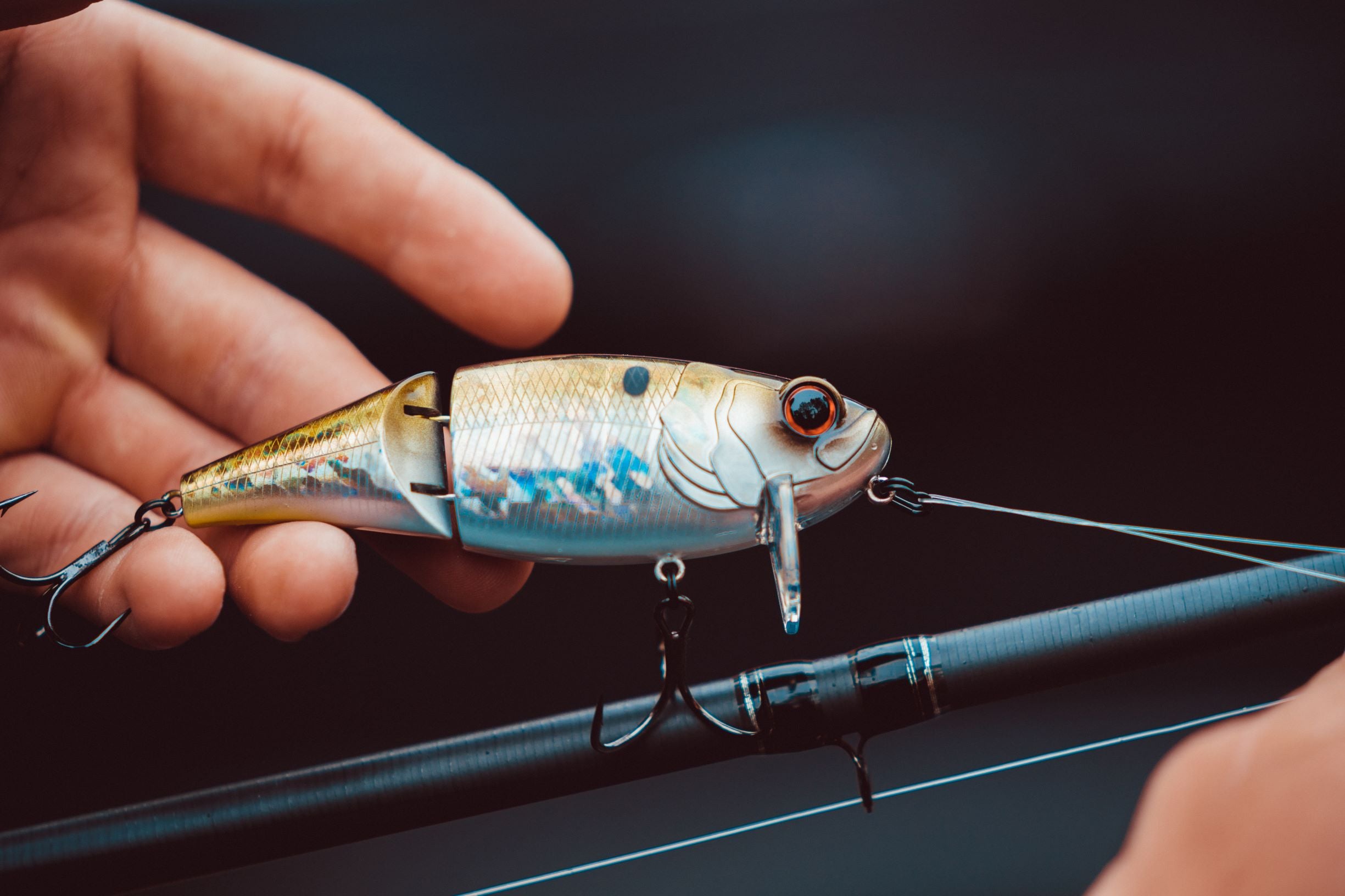american express fishing lure Wahoo Lures When you stop the retrieve C&H Lures - Express Deep